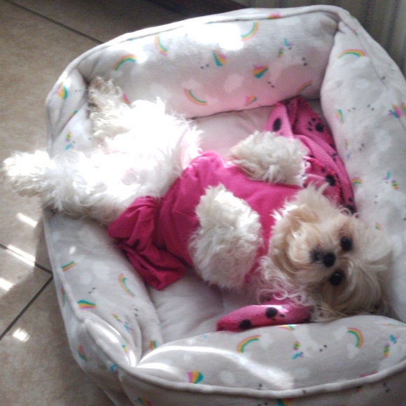 Meet your Posher, Dayan - Picture 7 of 7